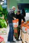 MIN RUNGIS-Fleurs-65